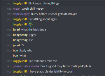 bin_keeps_ruining_things_if_i_dont_know_its_aight.png