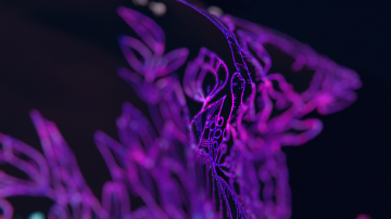 VRChat_1920x1080_2022-01-04_05-37-42.844.png