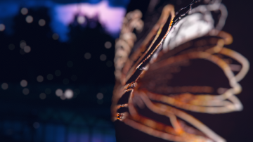 VRChat_1920x1080_2022-01-04_05-44-00.113.png