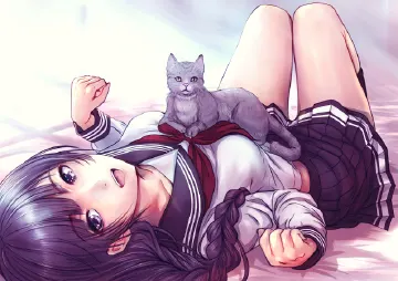 2-cats-original_3dfbde36-7254-4175-a7c1-43f2c3dbbe99.jpeg