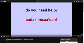 MIMzs.png