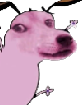 couragedoge.png
