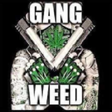 gangweed2.png
