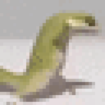lizard.gif