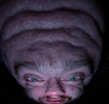 megabruv.png