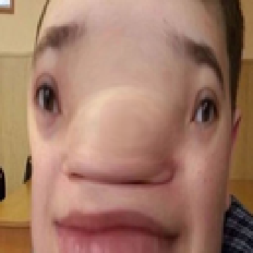 russianpig.png