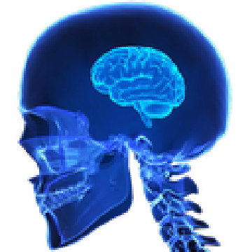 smallbrain.png