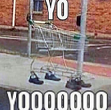 yooo.png