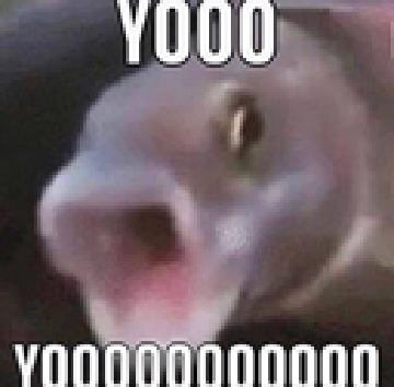 yooooooooooo.png