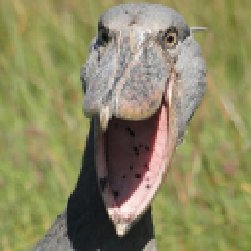 8b6936ec832e06352a198b3bd87eb753.png