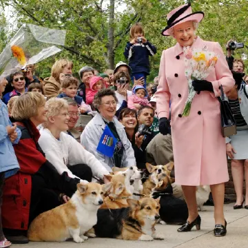 00-promo-image-queen-elizabeths-corgis-love-meghan.jpg