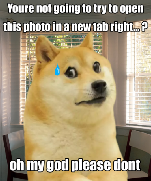 04b24d5342c0d3aa (1).png