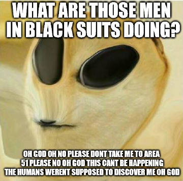 08799fb3-178c-4122-a41b-f776f6101172.png