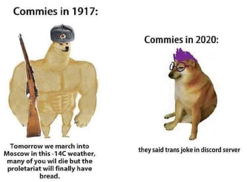 104294120_2998165240303835_4658109035403159820_n.png