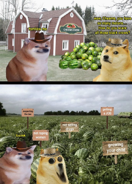 110113410_2584358871816892_6416345632088046688_o.png