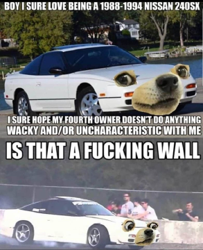 116353675_310773027000102_3337381228093109853_o.png