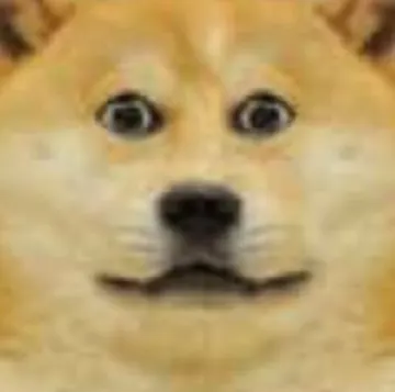 116434539_979785069119028_3810270919352175531_o010.jpg