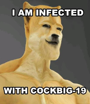 117316951_188036466069966_6931224525928622119_o.png