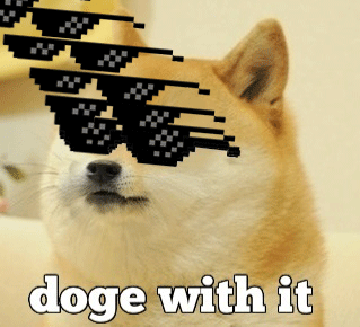 1475009630_88865-doge-doge-with-it.gif