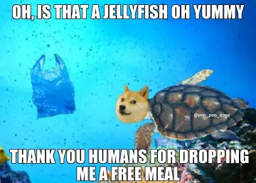 148c3c6.jpg
