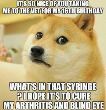15430803318502454474296768983215.png