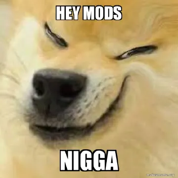 1574804340778.jpg
