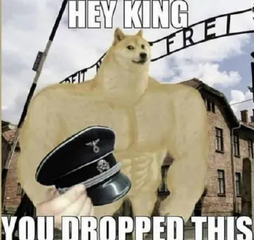 1580046759979.jpg