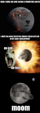 1585268222067.png