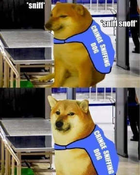 1586452279115 (1).png
