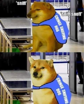 1586452279115 (2).png