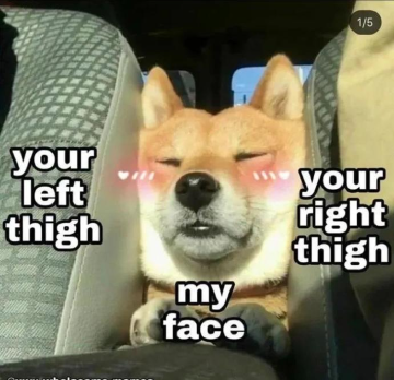 1587587073000.png