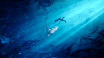 637650_20190301224822_1.png