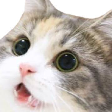 371317556734197761.png