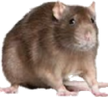 710414595994550316.png
