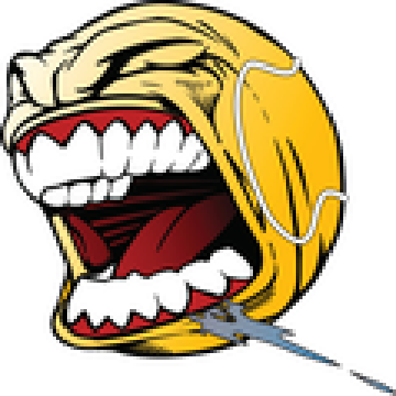 715891555168157716.png