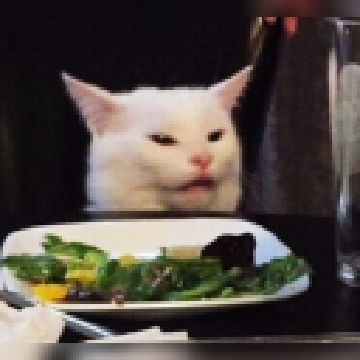 08b01ca7162e6182fcd1f40a495004e6.png