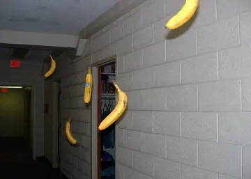 446733774_402702.jpg