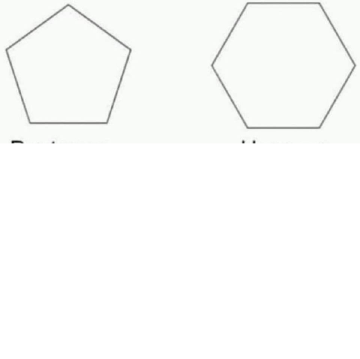 48415466_327598371503382_7258348959049973760_n.png