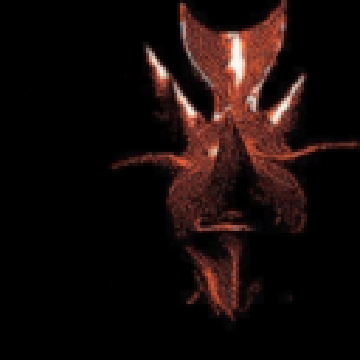562af8c4a48f69fa61ea73ece554f7f7.png
