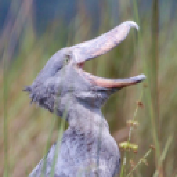 6558a24680bb79a87667a1446249e484.png