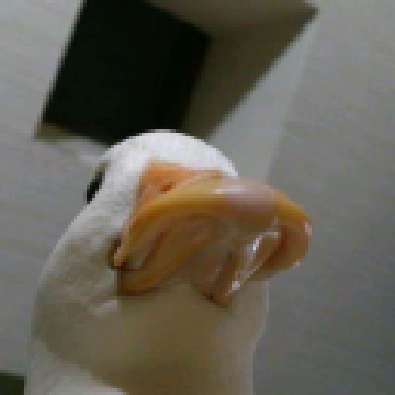 08527c9e3c0c1fcffb090264aa7bc4a3.png