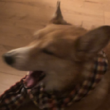 0b62880fa0615979235f59256d44a008.png