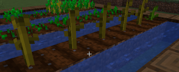 unknown (3).png
