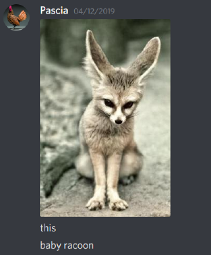 unknown (10).png