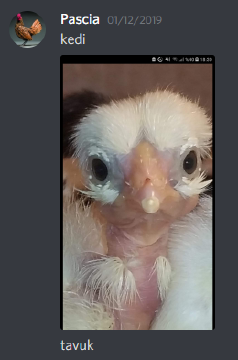 unknown (13).png