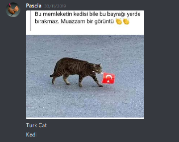 unknown (14).png