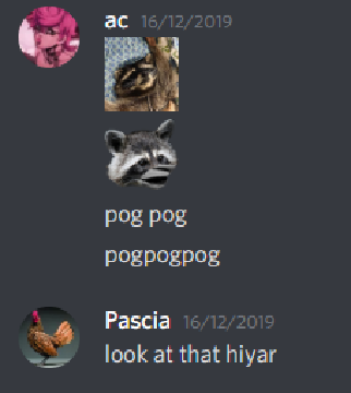 unknown (8).png