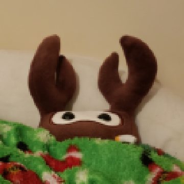 03ad558c4a35ca1dcad0dc16f0e22ab2.png