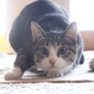 03dbe6d6edb76d98326a5912d87374ff.png