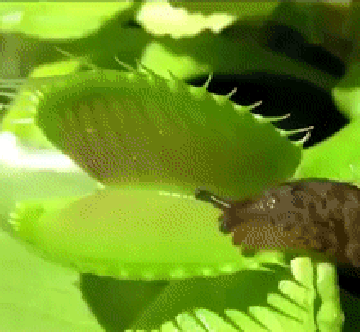 0fa193b2-c544-4d37-ad53-65c5f631edeb.gif